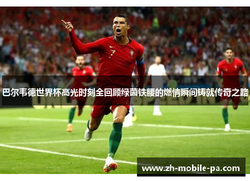 巴尔韦德世界杯高光时刻全回顾绿茵铁腰的燃情瞬间铸就传奇之路 巴尔韦德世界杯高光时刻全回顾绿茵铁腰的燃情瞬间铸就传奇之路