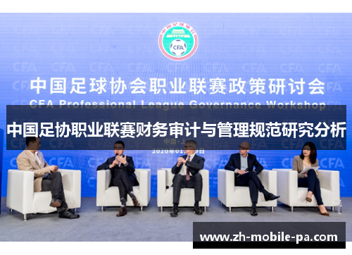 中国足协职业联赛财务审计与管理规范研究分析 中国足协职业联赛财务审计与管理规范研究分析